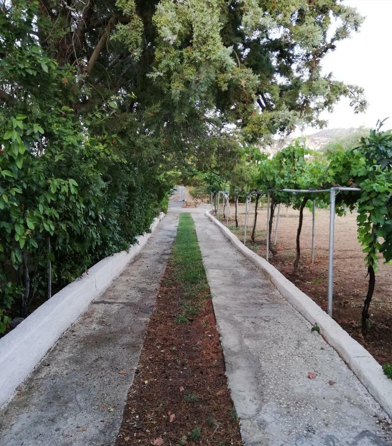 ארטמידה Dreamhome -10Min From Airport- מראה חיצוני תמונה